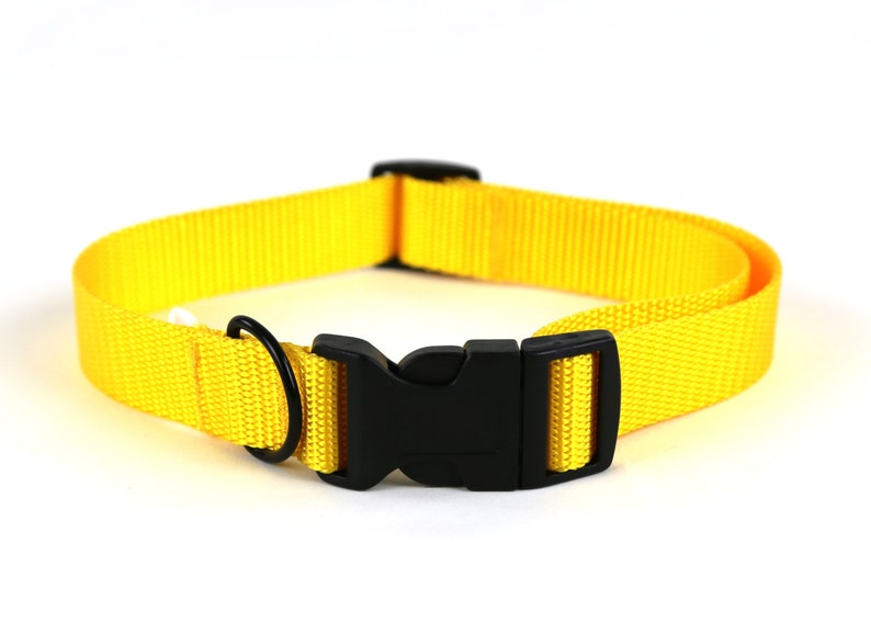 Yellow Dog Collar Etsy