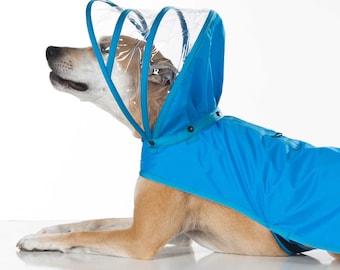 Dog Raincoat - Light Blue - Rainbow Line