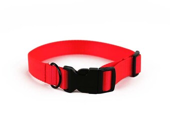 Safety Orange Dog Collar