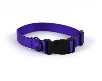 Purple Dog Collar