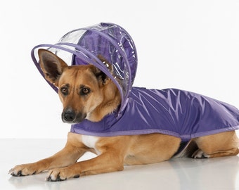 Dog Raincoat - Purple - Rainbow Line