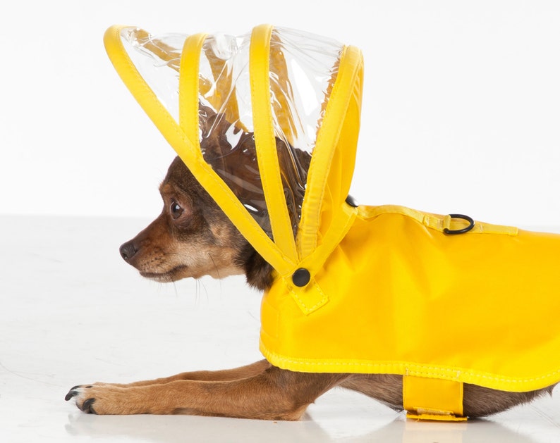 Dog Raincoat Yellow Rainbow Line image 2