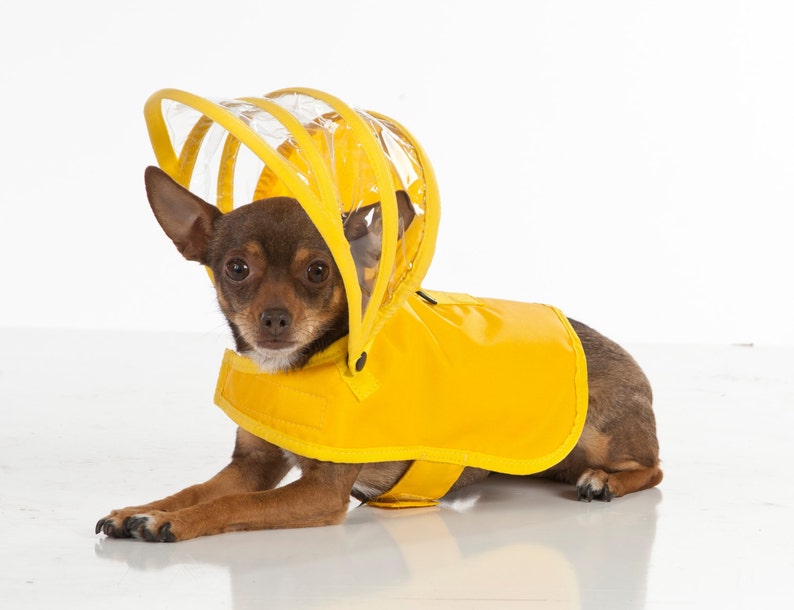 Dog Raincoat Yellow Rainbow Line image 1
