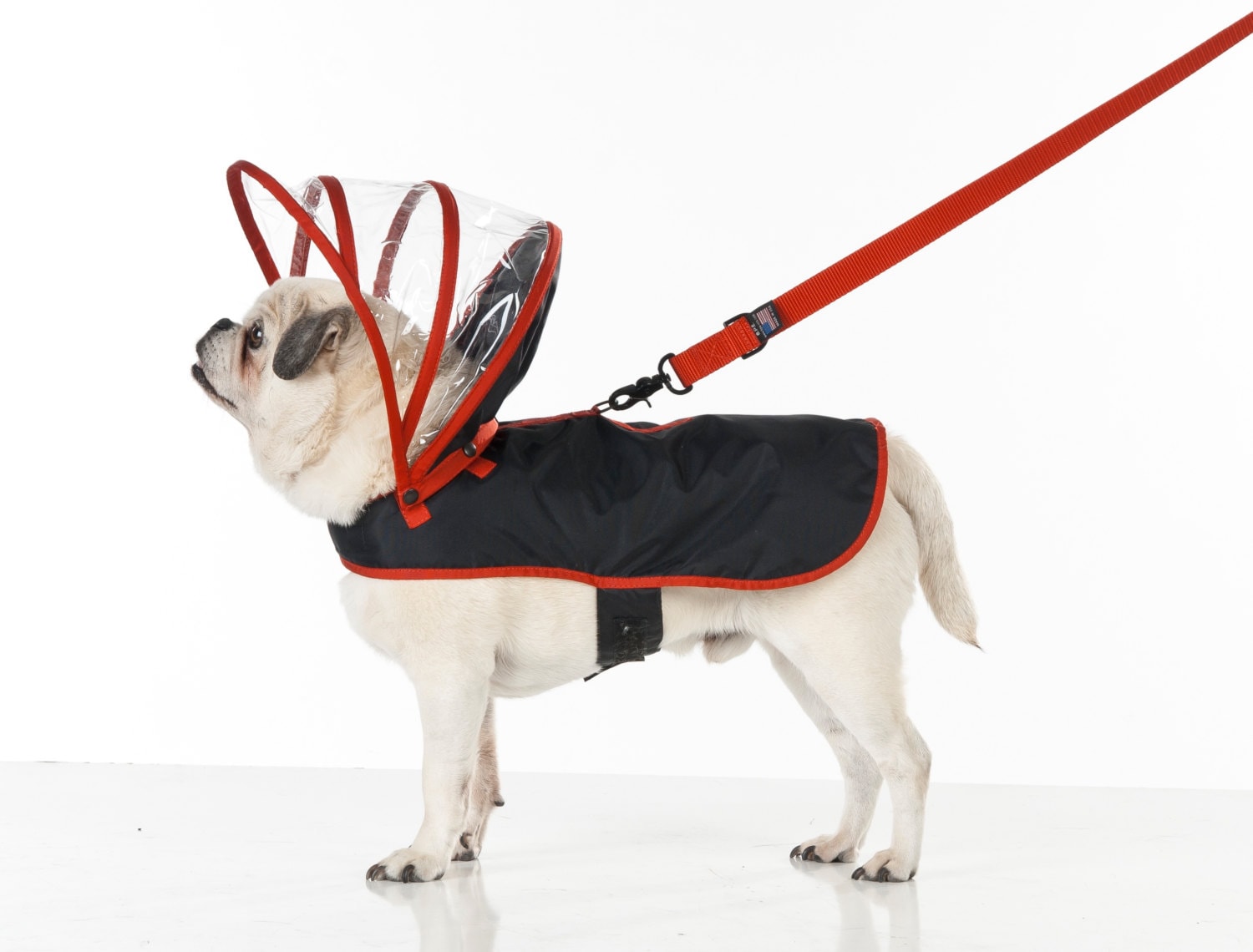 Dog umbrella harness hotsell