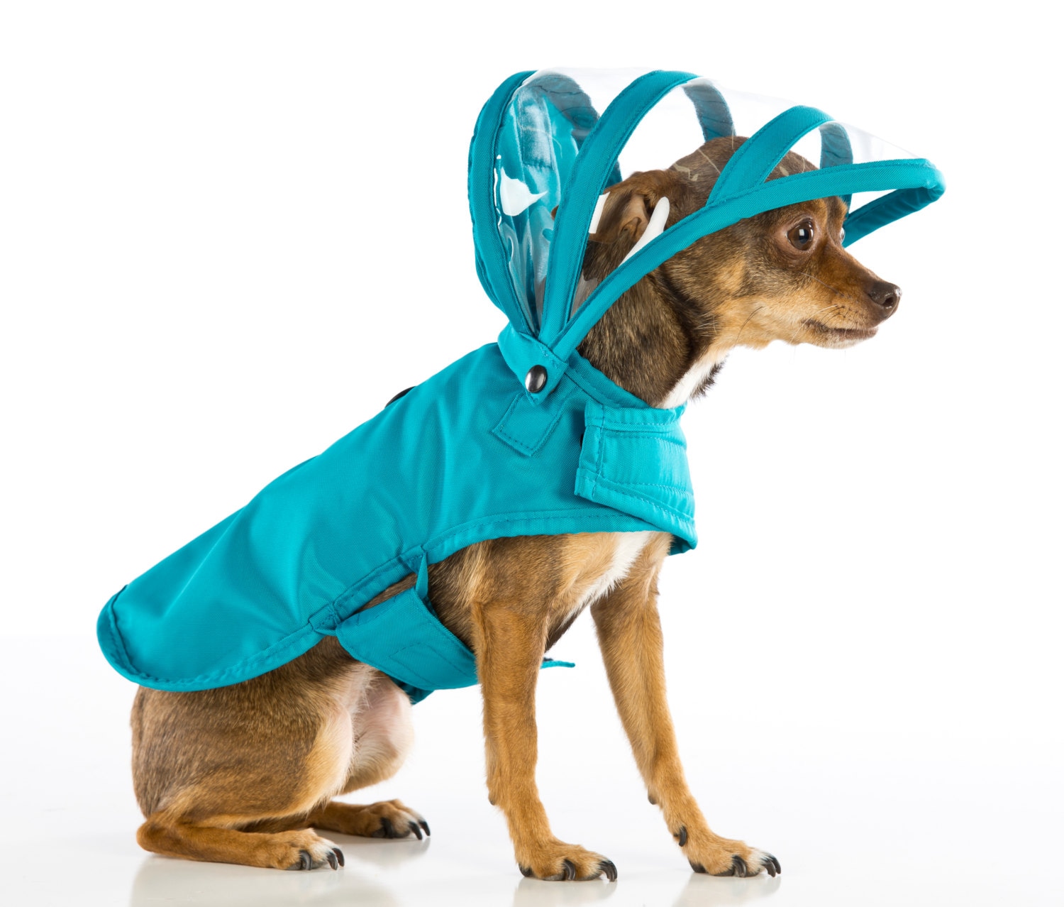 Dog Raincoat Teal Rainbow Line Etsy Canada