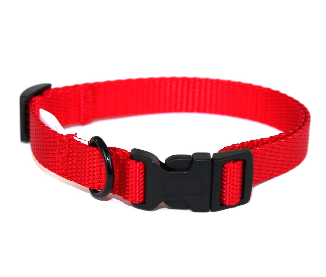 Dark red dog collar hotsell