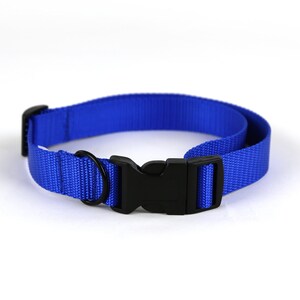 Royal Blue Dog Collar