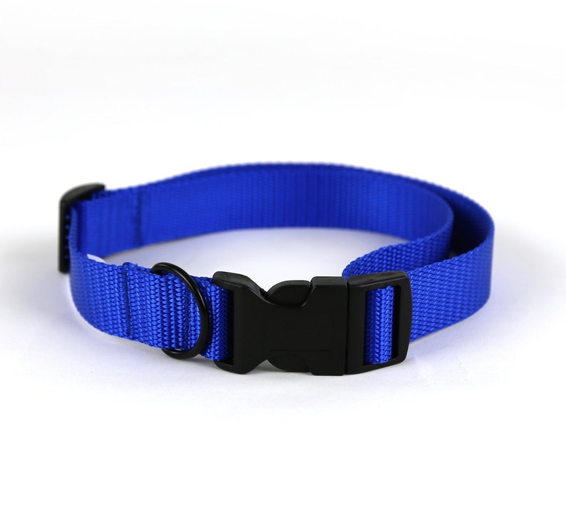 Royal Blue Dog Collar Etsy