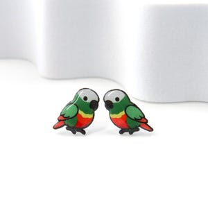 Green Cheek Conure Earrings · Parrot Stud Earrings · Bird Lover Gift · Small Colorful Parrot Jewelry · Green Cheek Conure Accessories