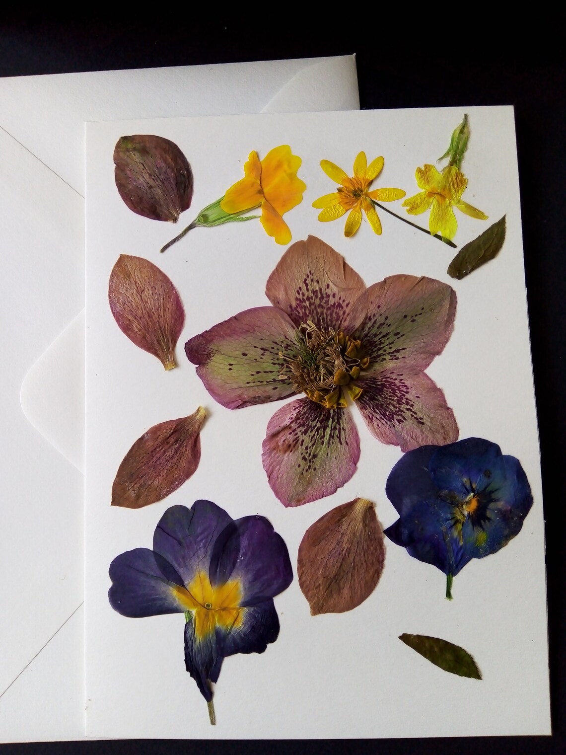 Pressed flower greeting cards x three Etsy