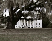 Hampton Plantation, McClellanville SC - Matted Print, Home Decor, Fine Art Photography