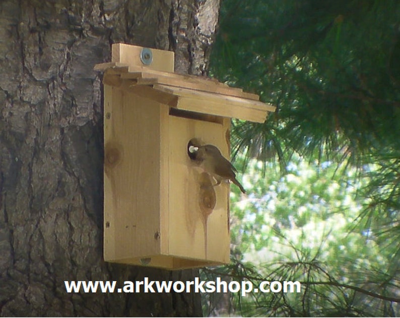 Ark Workshop WREN House Cedar Shelter Box Home for wrens, TACK, SLAT roof image 3