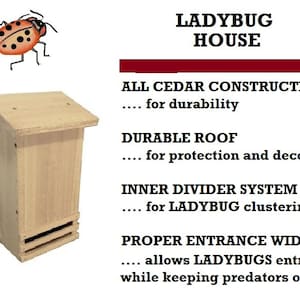 May include: A wooden ladybug house with a cedar construction, a durable roof, and an inner divider system. The house has a proper entrance width to allow ladybugs to enter while keeping predators out.