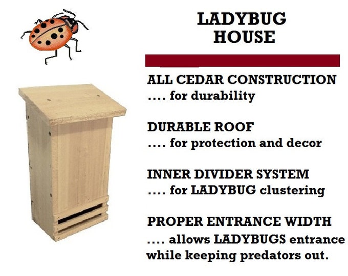 LADY BUG HOUSE - Etsy