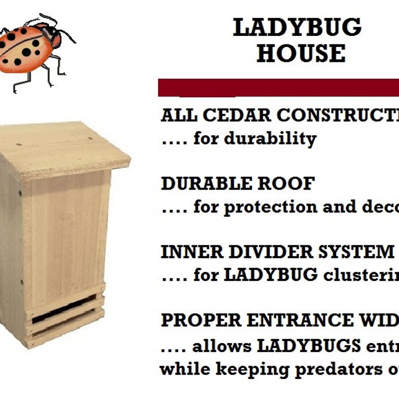 Ladybug House - Etsy