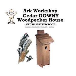 Cedar Downy Woodpecker House: Nesting Box Shelter