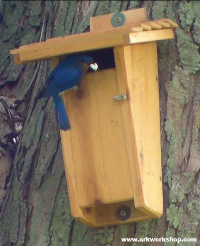 Ark Workshop Slot Bluebird House Birdhouse box design proven | Etsy