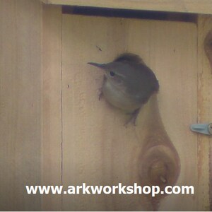 Ark Workshop WREN House Cedar Shelter Box Home for wrens, TACK, SLAT roof image 5