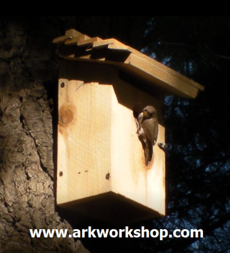 Ark Workshop WREN House Cedar Shelter Box Home for wrens, TACK, SLAT roof image 4