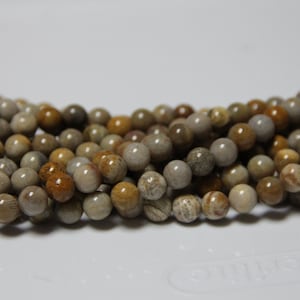 Fossil Coral 8mm smooth round beads 16&quot; length full strand