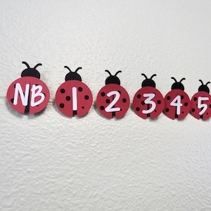 Ladybug Monthly Photo Banner - Ladybug Birthday, Lady Bug Theme, Ladybug Theme Decor, Girls Birthday Party, Lady Bug, Milestone Banner