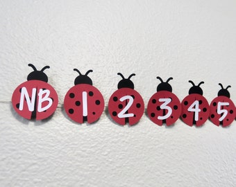 Ladybug Monthly Photo Banner - Ladybug Birthday, Lady Bug Theme, Ladybug Theme Decor, Girls Birthday Party, Lady Bug, Milestone Banner