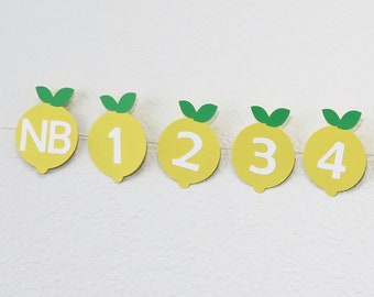 May include: A yellow and green lemon-shaped banner with the letters "NB" and the numbers 1 through 12 printed on it.