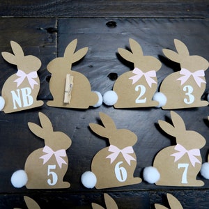 May include: Ten brown bunny-shaped paper place cards with pink bows and white pom-poms. The place cards are numbered 1 through 8, with the letters NB on the first card.