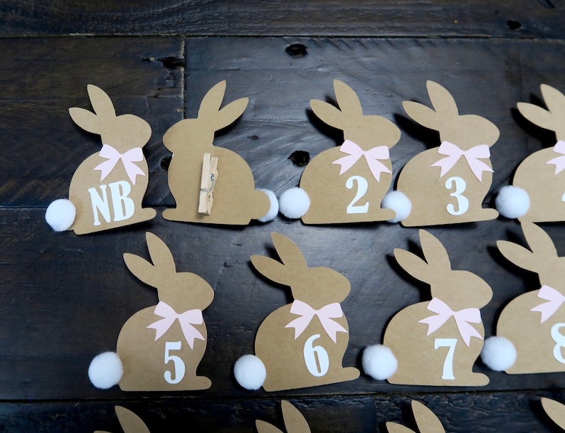 May include: Ten brown bunny-shaped paper place cards with pink bows and white pom-poms. The place cards are numbered 1 through 8, with the letters NB on the first card.