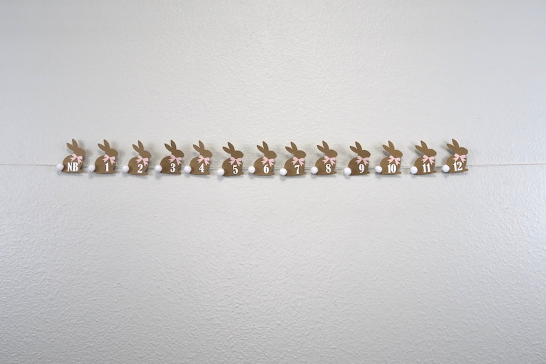 May include: A brown bunny garland with pink bows and white numbers, from NB to 12, strung on a white string with white pom-poms between each bunny.