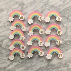 Rainbow Monthly Photo Banner - Unicorn Birthday, Rainbow First Birthday, Rainbow Theme Party Decor, Rainbow Decor, First Birthday Photos