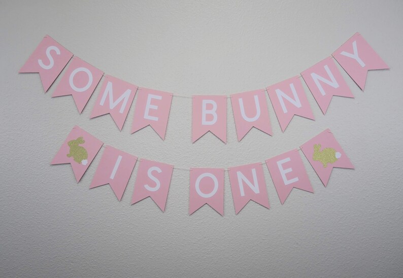 May include: Pink banner with white letters that reads "Some Bunny Is One" with gold glitter bunny silhouettes on each end.