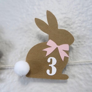 May include: Brown paper bunny with a pink bow and the number 3 on it. The bunny has a white pom-pom tail.