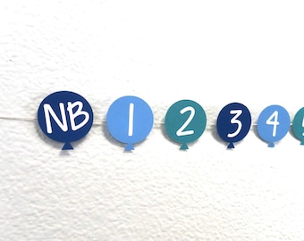 Balloon Monthly Photo Banner - Balloon Theme Birthday, Boy First Birthday, First Birthday Themes, Balloons, Milestone Banner, Photo Banner