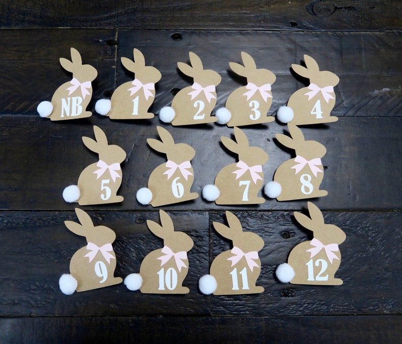 May include: Twelve brown bunny-shaped paper cutouts with pink bows and white numbers from 1 to 12 and "NB" on a dark wood background.