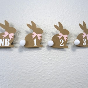 May include: A brown bunny banner with pink bows and white pom-poms. The bunnies are numbered 1 through 4 and the first bunny says "NB".
