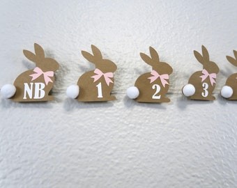 Bunny Monthly Photo Banner: Some Bunny Is One, First Birthday