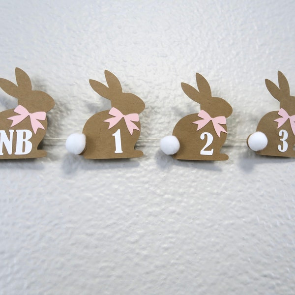 Some Bunny Is One Monthly Photo Banner, First Birthday Monthly Photo, Bunny Theme
