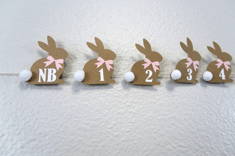 May include: A brown bunny banner with pink bows and white pom-poms. The bunnies are numbered 1 through 4 and the first bunny says "NB".