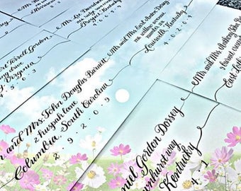 Modern and Whimsical Envelope Addressing for Weddings and other Occasions - Playful Script (Combo)