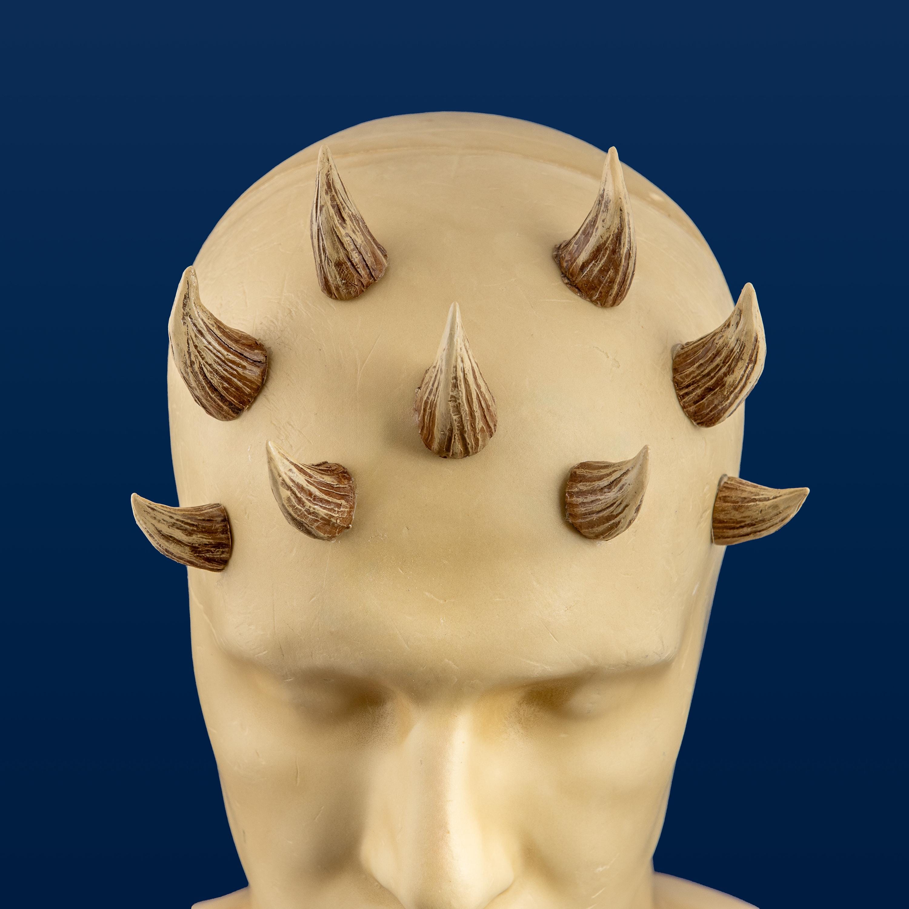 Mother Koril Zabrak / Creature / Alien Horns