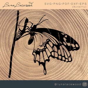Papillon SVG | Papillon Cocoon SVG pour Cricut | Silhouette | Fichier découpé au laser