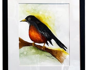 American Robin Watercolor