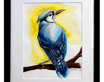 Blue Jay Watercolor