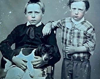 Two young boys and their dog. Sixth plate daguerreotype. Full case.