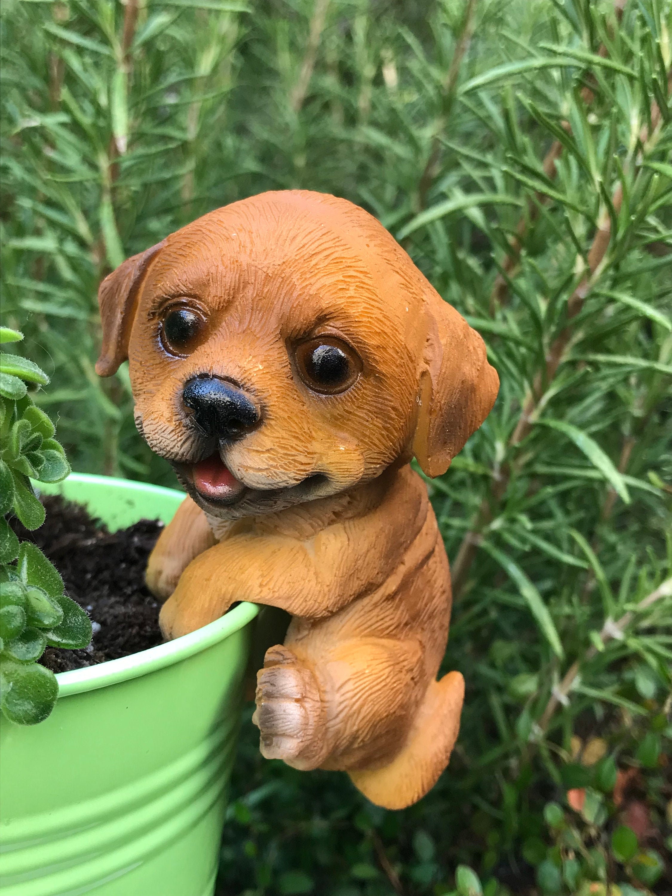 Mini FEE GARTEN 375 Braun Welpe Hund Tier BlumenTopf Etsy