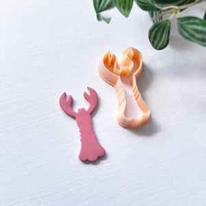 Könnte beinhalten: Zwei Ausstecher in Hummerform. Einer ist ein fester, rosa Hummer. Der andere ist ein hellpfirsichfarbener Ausstecher. Beide liegen auf einer weißen Oberfläche mit grünem Laub im Hintergrund. Die Ausstecher sind wahrscheinlich zum Backen oder Basteln.