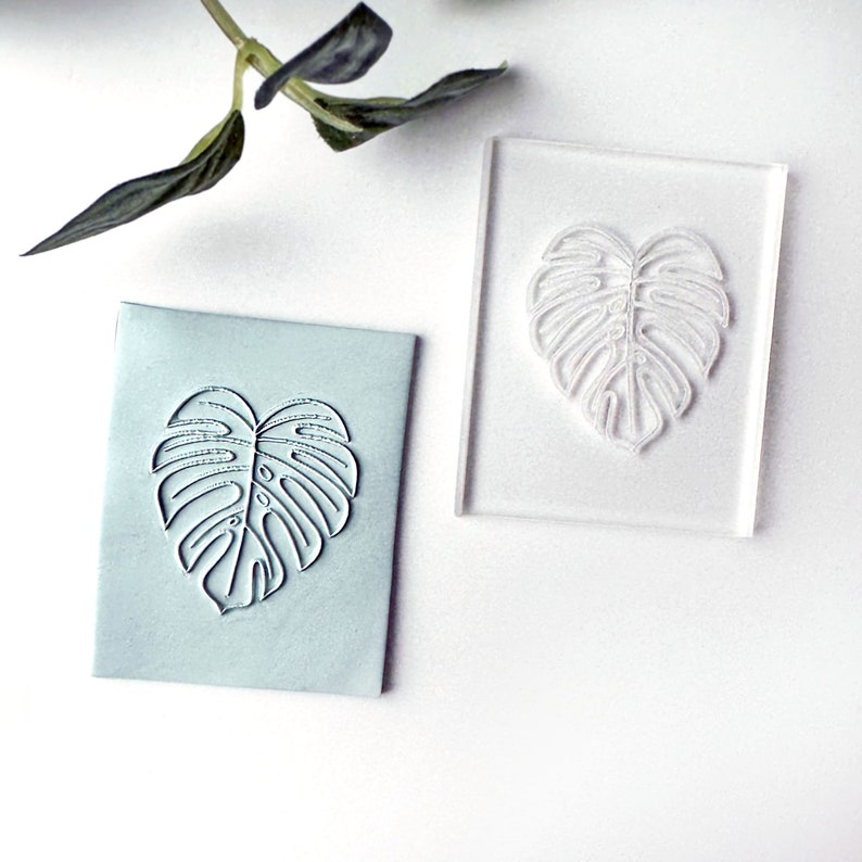 Op de afbeelding: Een transparante acryl stempel met een witte omtrek van een monstera blad. De stempel ligt op een wit oppervlak naast een blauwe kaart met een witte omtrek van een monstera blad.