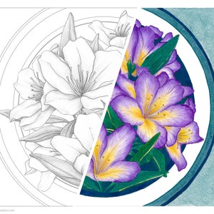 Printable Coloring design: Unique, hand drawn illustration for instant download