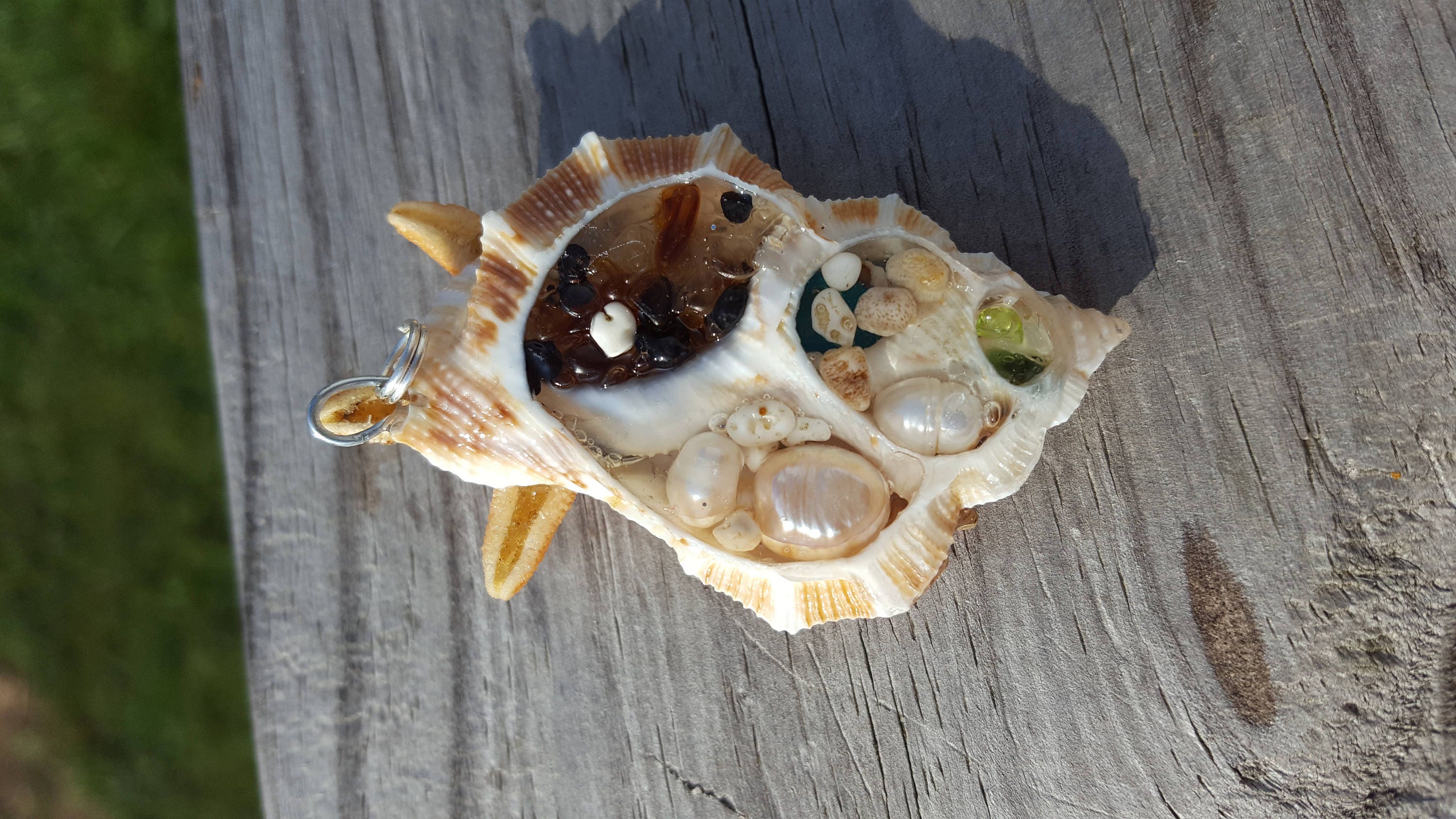 Preserved Snowflake Mermaid Charm Pendant Ornament Shell | Etsy